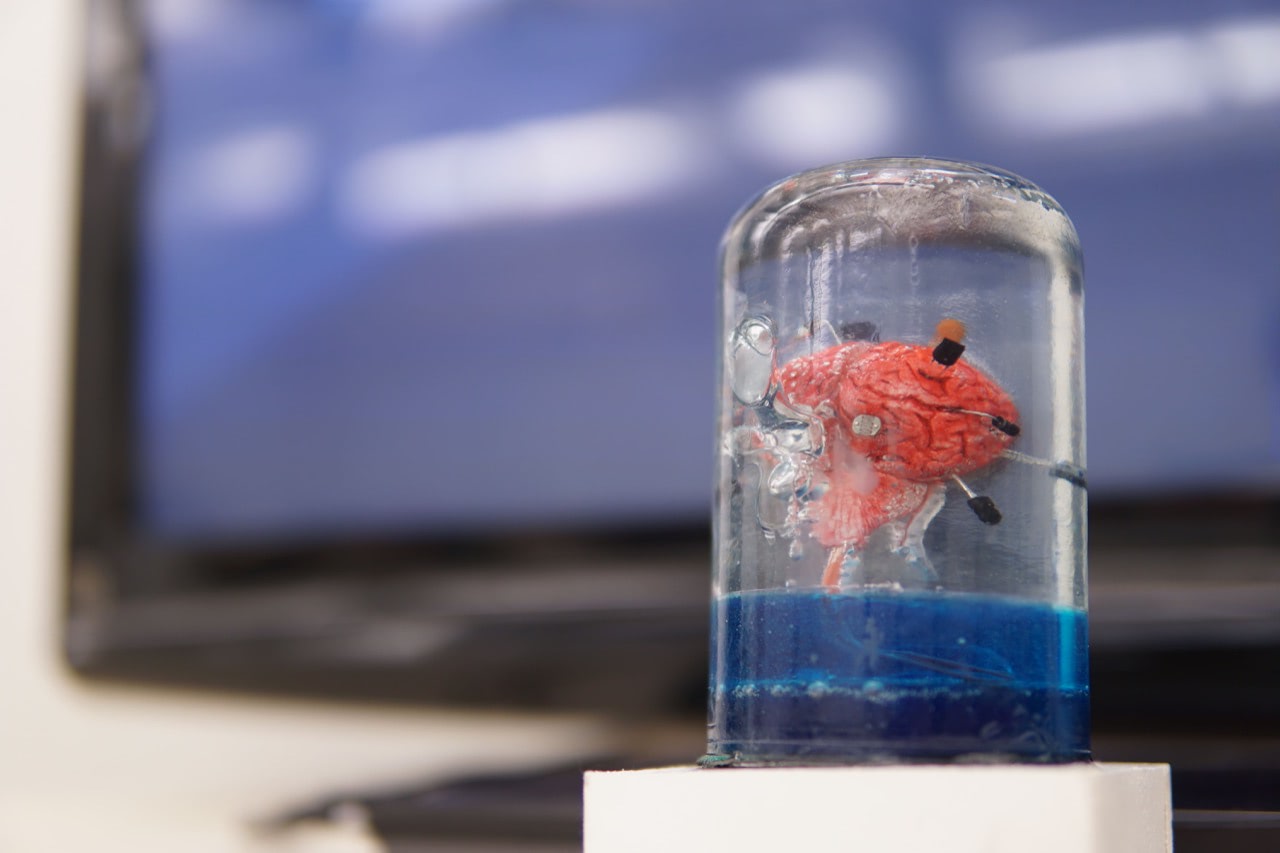 Observer, Physical object, miniature of a brain in the jar