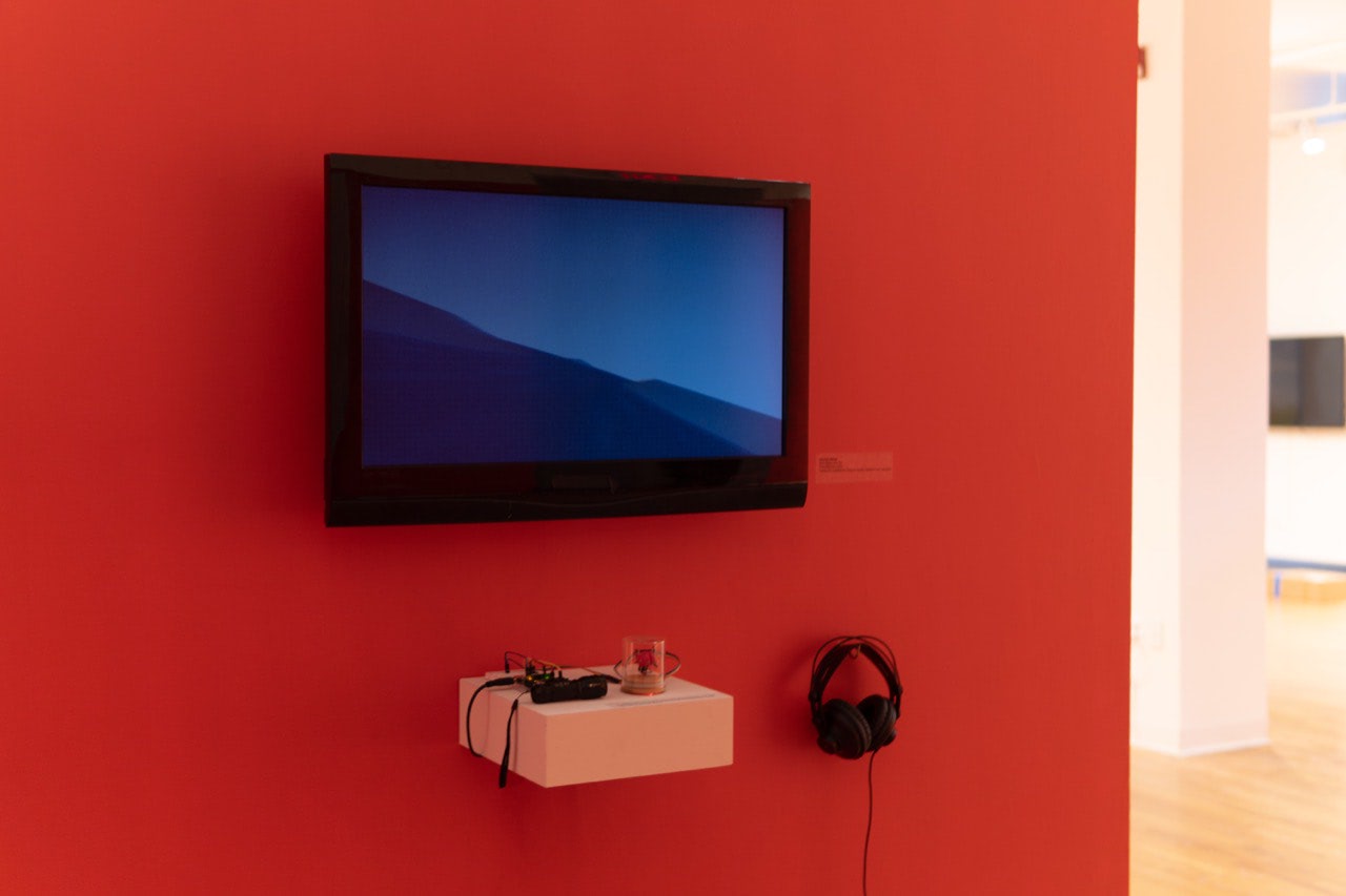 Observer at Elsewhere, Within Here, exhibition view