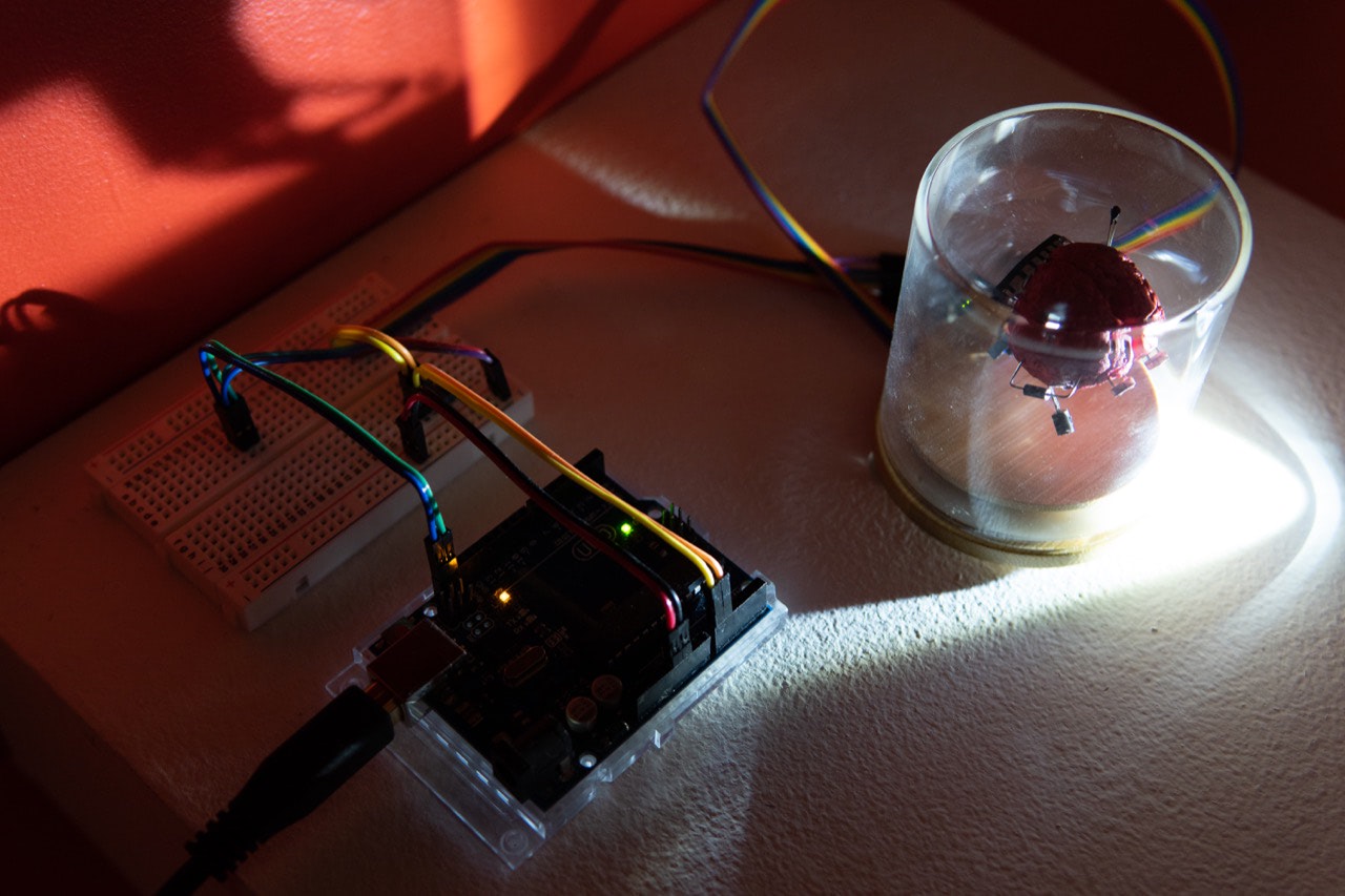 Observer at Elsewhere, Within Here, exhibition view