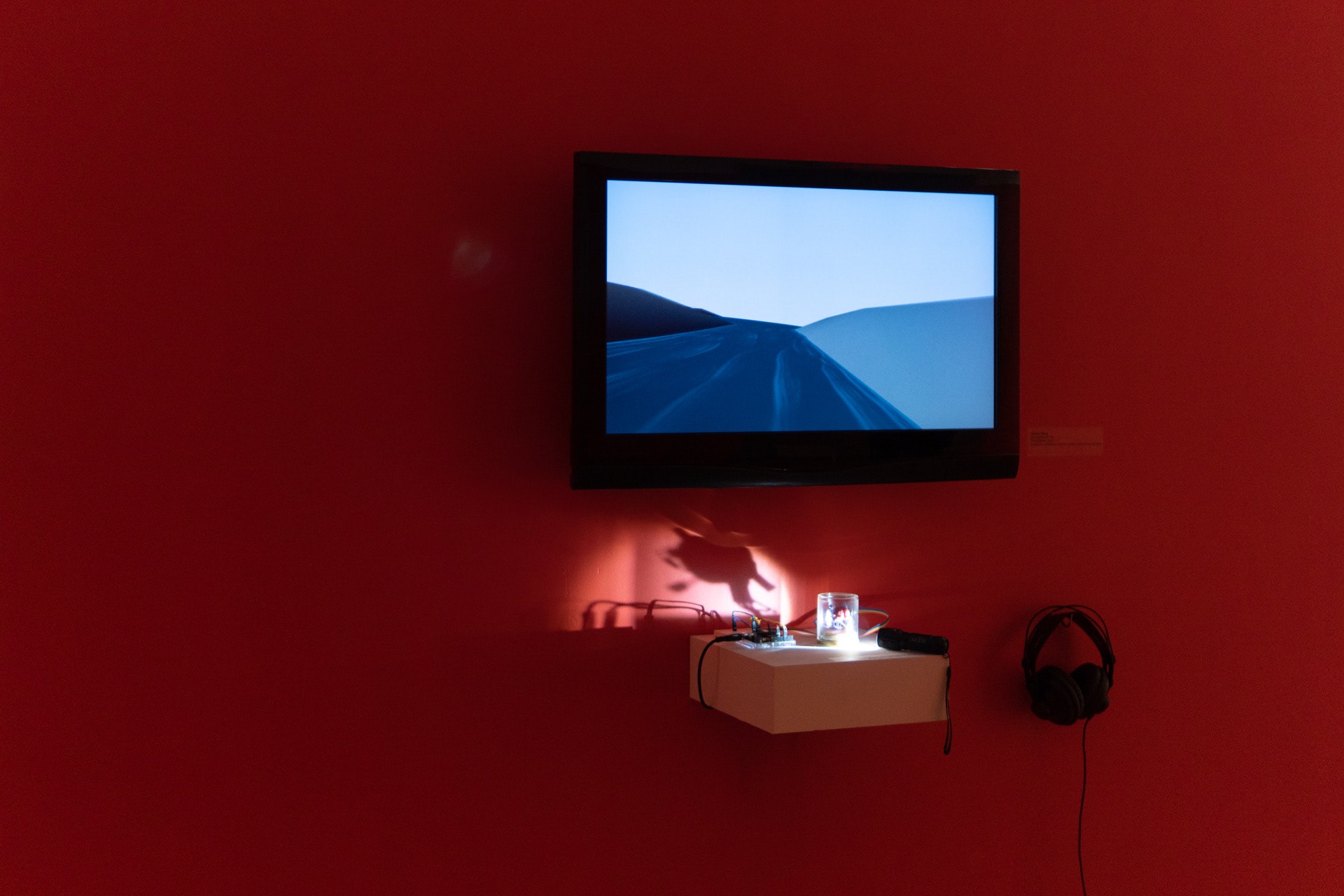 Observer, Installation view