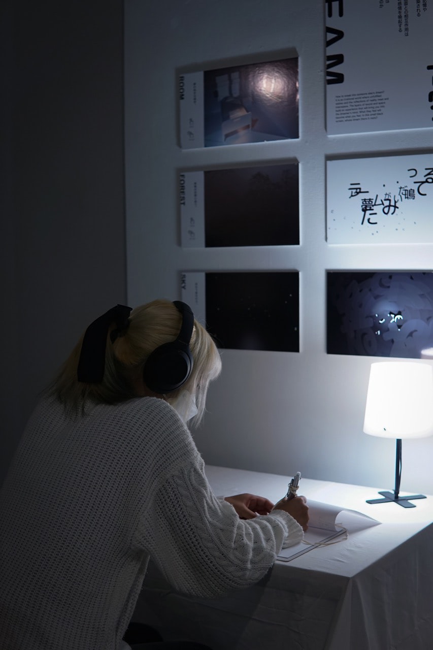 DREAM, photo of audience interaction